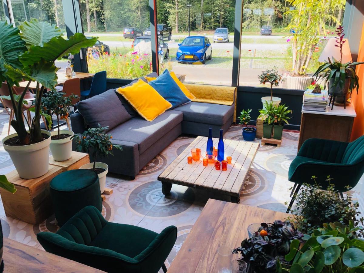 Villa Blauwhemel Diever Exteriör bild